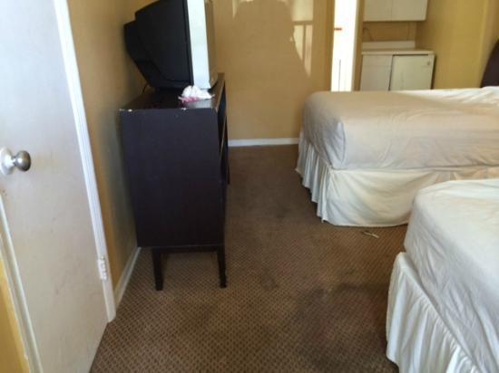Avalon Waterfront Inn Fort Lauderdale Chambre photo